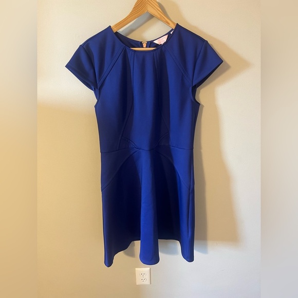 Ted Baker London Dresses & Skirts - Ted Baker London Panel Skater Dress Size 4 US 10 Royal Blue Rose Gold Zipper